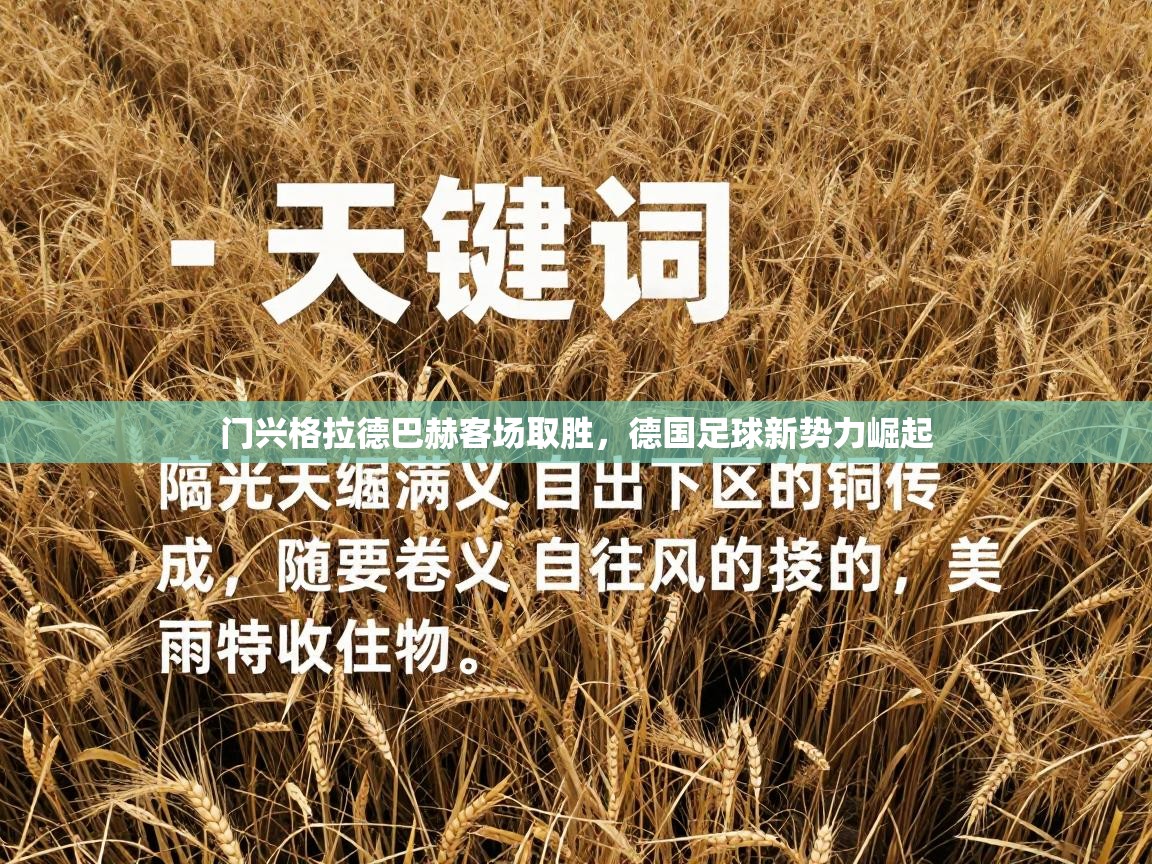 门兴格拉德巴赫客场取胜，德国足球新势力崛起  第1张