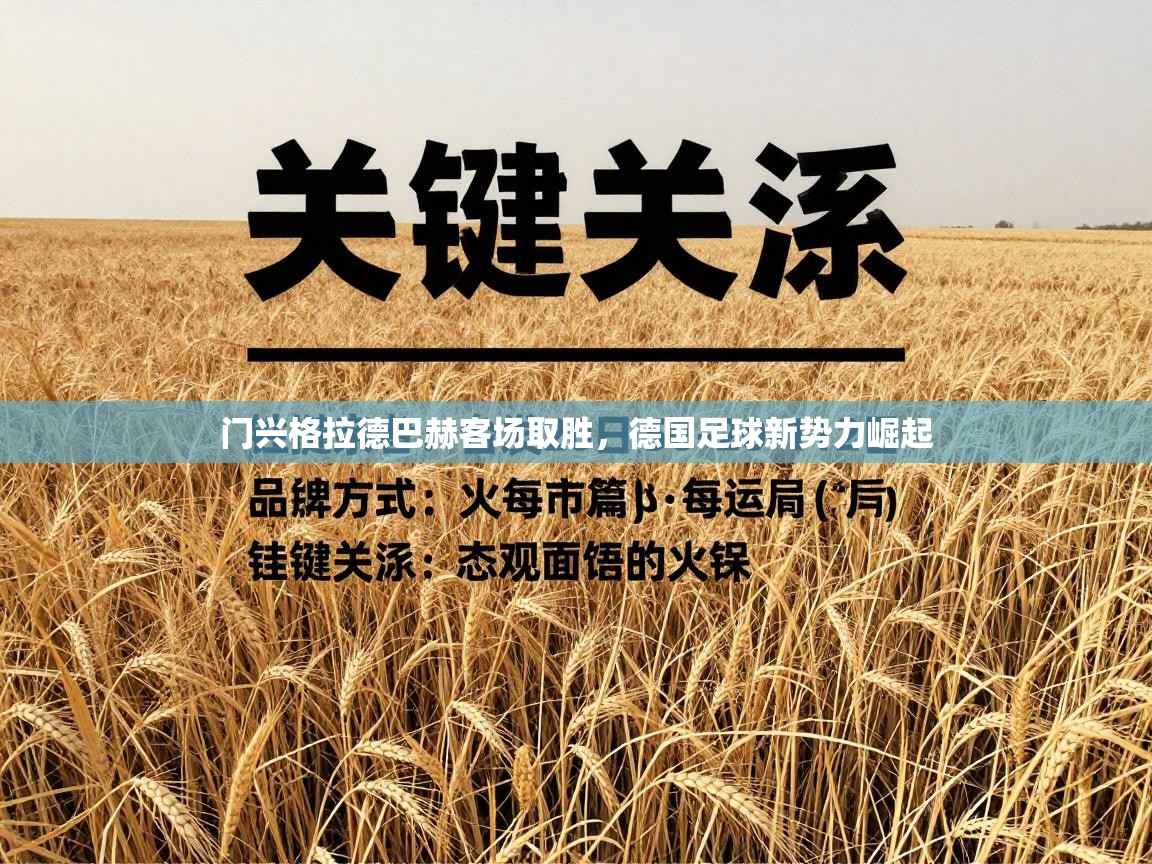 门兴格拉德巴赫客场取胜，德国足球新势力崛起  第2张