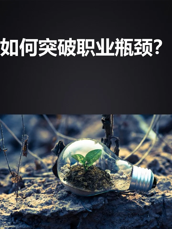 包含北京队遭遇瓶颈，如何突破尚待研究的词条